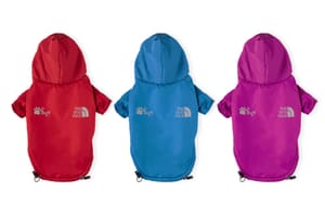 fotos-para-amazon-para-vender-mas-estudio-fotografico